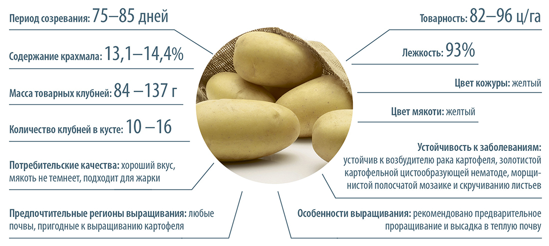Центр аграрного опыта и инноваций: практика внедрения новинок в производство